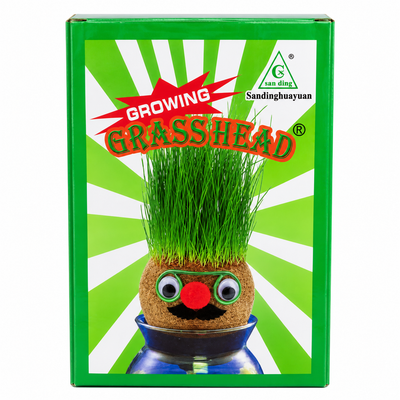 Growing Grass Head – Novelty Grass Hair Plant | Mr Panda