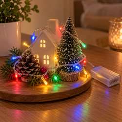 1m Multicolour Battery Fairy String Lights | Mr Panda