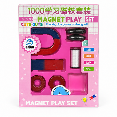 Children’s Educational Magnet Play Set | Science Toy