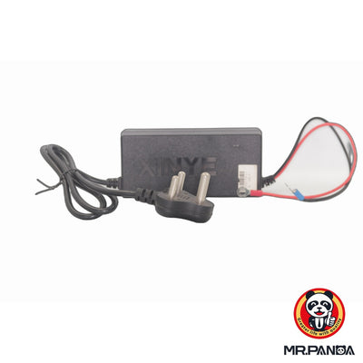 Intelligent Battery Charger