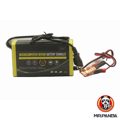 Battery Charger