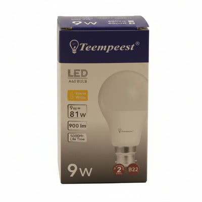 LED A60 Bulb