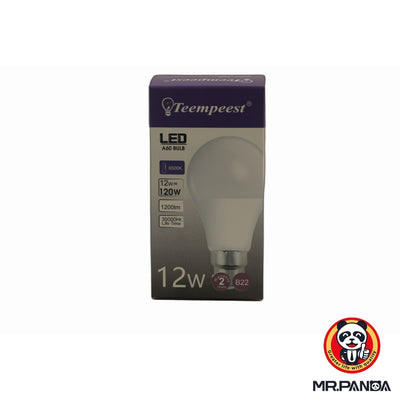 LED A60 bulb
