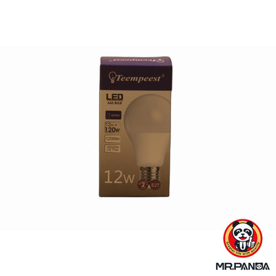 LED A65 Bulb