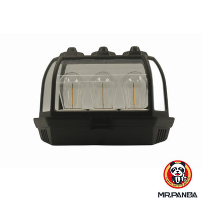 Solar Induction Wall Lamp