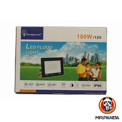 Teempeest 100W / 12V LED Flood Light