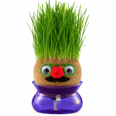 Growing Grass Head – Novelty Grass Hair Plant | Mr Panda