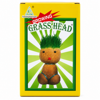 Growing Grass Head Character DIY Kit | Mr Panda